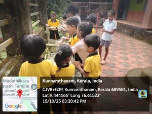 WhatsApp Image 2025-11-15 at 12.04.36 PM.jpeg