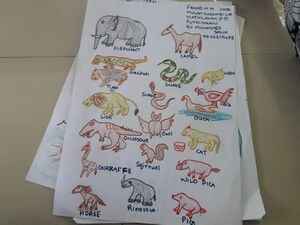 ഫഹദ് എ.എം.jpeg