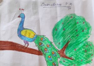 15038-WYD-KUNJ-DEVMADHAVE P A.jpg