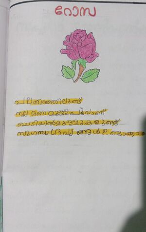 15439 WYD KUNJ-SHAHNADA.jpeg