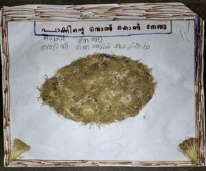 31411-KTM-KUNJ-AADHILAKSHMI PS.jpg