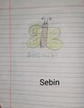 Sebin,1A