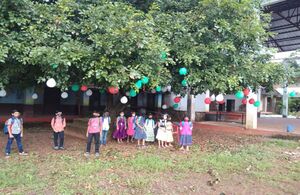 BS21 KGD 12044 2.jpg