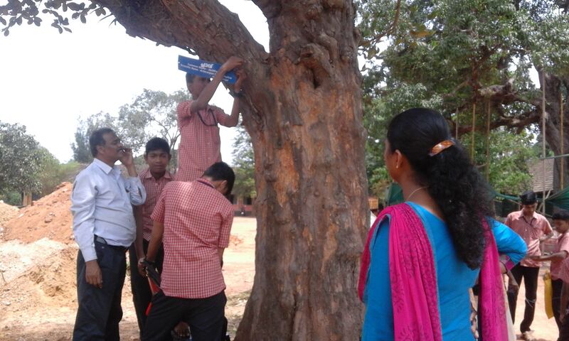 പ്രമാണം:Naming 30.jpg