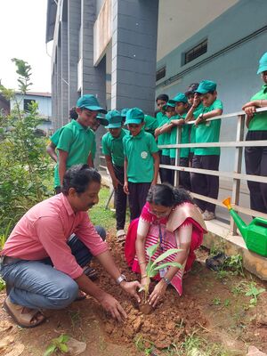 PKD 20062 environmentday3.jpg