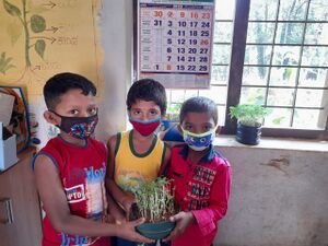 Sasyaga Belavanige.jpeg