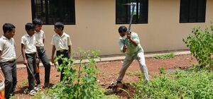 12024 veggarden.jpeg