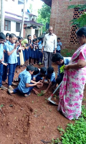 ലോകപരിസ്ഥിതിദിനം 2017-18