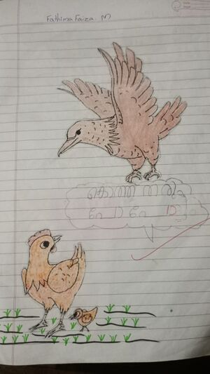 19864 mlp fathima faiza.jpg