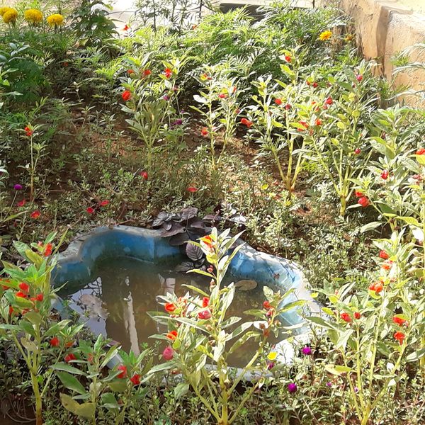 പ്രമാണം:21302-bio 1.jpg