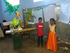 Science fair-Collections
