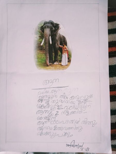 പ്രമാണം:22222-TSR-KUNJ-ADITHYA KISHORE.jpg