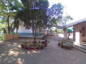 29312 environmentclub3.jpeg