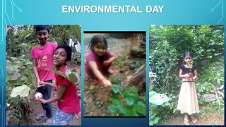 Environmental Day