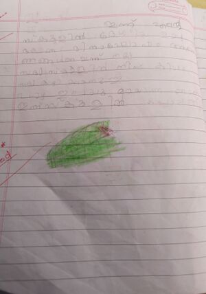 41337-KLM-KUNJ-NOORA FATHIMA.jpg