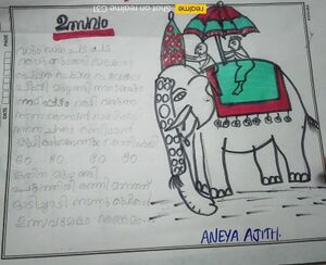 41447-Aneya ajith.jpg