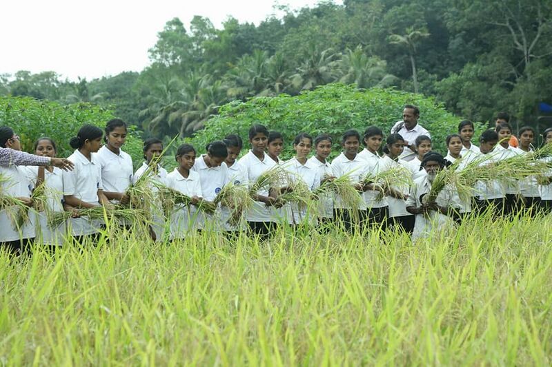 പ്രമാണം:42021 20010.jpg