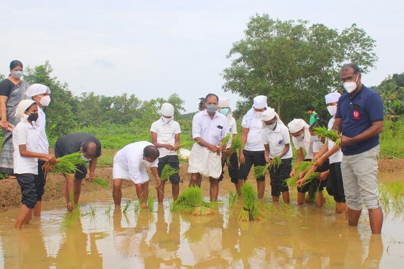 പ്രമാണം:42021 9993452.jpg