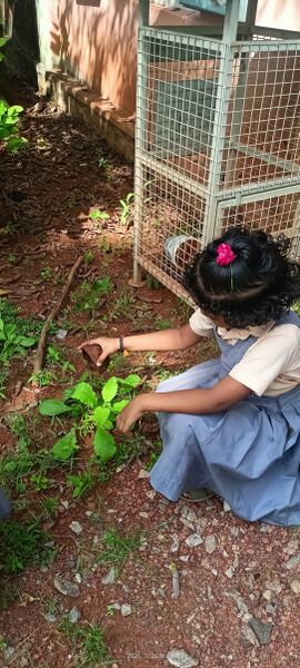 പ്രമാണം:42225-cleaning up.jpg