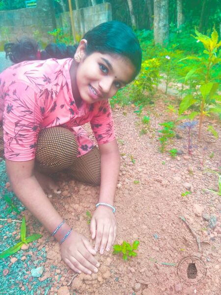 പ്രമാണം:44018 e15.jpg