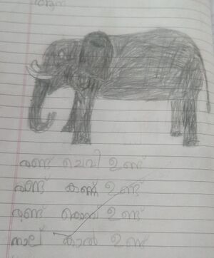 44546-TVM-KUNJ-DANI 1.jpg