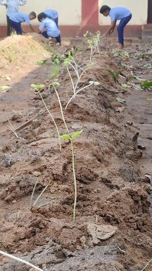 Agriculture club.jpg