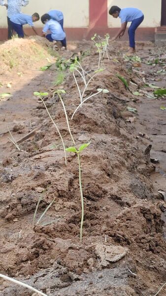 പ്രമാണം:Agriculture club.jpg