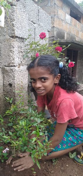 പ്രമാണം:Eco8 43065.jpeg