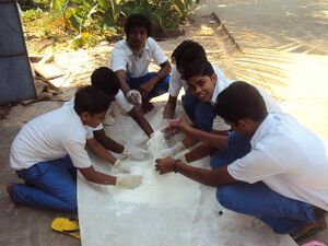 Protectnature 35052 (7).jpg