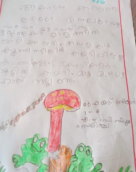 പ്രമാണം:11343-KGD-KUNJ-FAZAL ALI SHAHID.jpeg