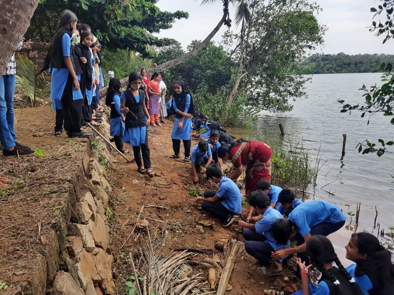 പ്രമാണം:11453 carbon neutrel3.jpeg