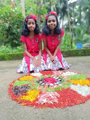 12335-onam17.jpg