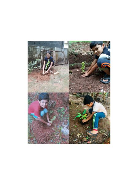 പ്രമാണം:14451 110.jpeg