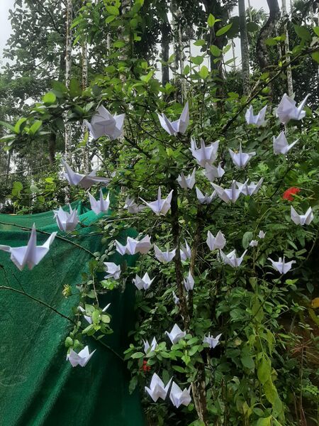 പ്രമാണം:15051 sodaku-1.jpg