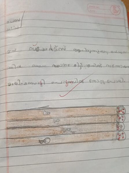 പ്രമാണം:17520-KKD-KUNJ-INSHA FATHIMA K.jpeg