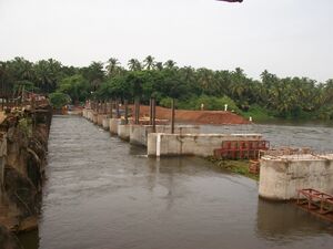 19054 beyem kayal.jpeg