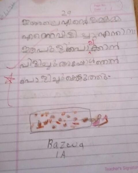 പ്രമാണം:19819 .MLP-RAZWA.jpeg