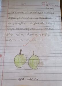 RINSHIL