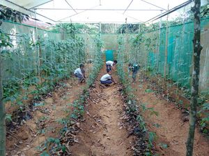 20171115 1601118.resized.jpg