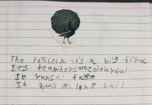 23302-TSR-KUNJ-AADHILAKSHMI K M.jpg