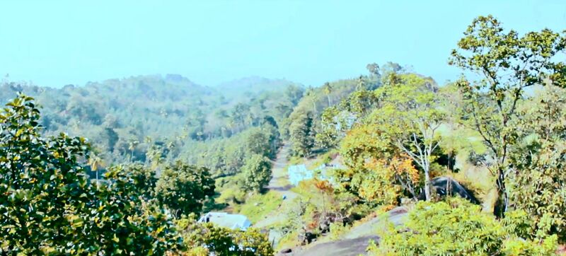 പ്രമാണം:29312 karimkunnam18.jpg