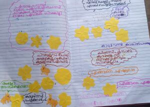 33339-KTM-KUNJ-KARTHIK SEBIN.jpg