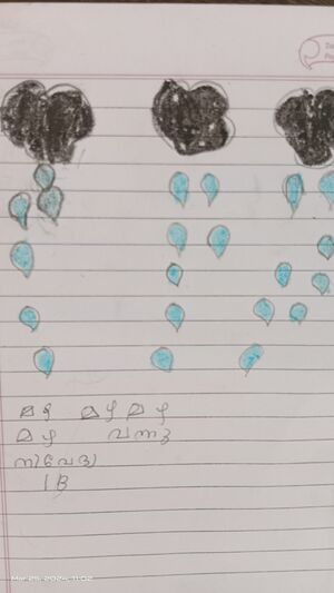 34331-ALP-KUNJ-NIVEDHYA ABHILASH .jpg