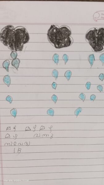 പ്രമാണം:34331-ALP-KUNJ-NIVEDHYA ABHILASH .jpg