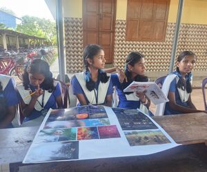 35052 ssfair 24253.jpg