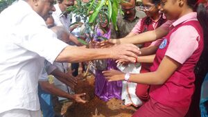 43029 Environment day 2026.jpg
