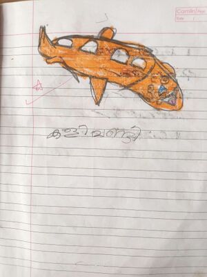 48238-mlp-kunj-Sree Vidya.jpg