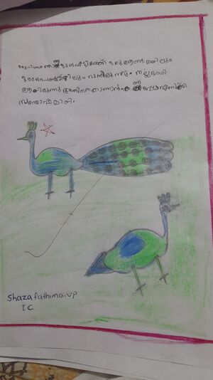 48558-MLP-Kunju-Shaza Fathima V C.jpg