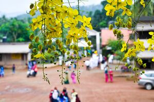 BS21 PKD 21096 4.jpg