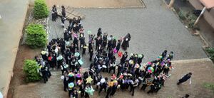 Christmas Celebration Star Creation 1.jpg